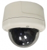 Sony® 500 TVL CCD, Colour Vandal Resistant Pan Tilt Zoom Dome Cam
